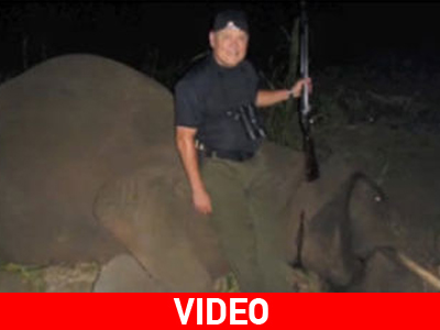 Τον «έκραξαν» για τη θανάτωση ελέφαντα